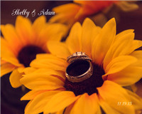Shelby & Adam Wedding 11.19.15